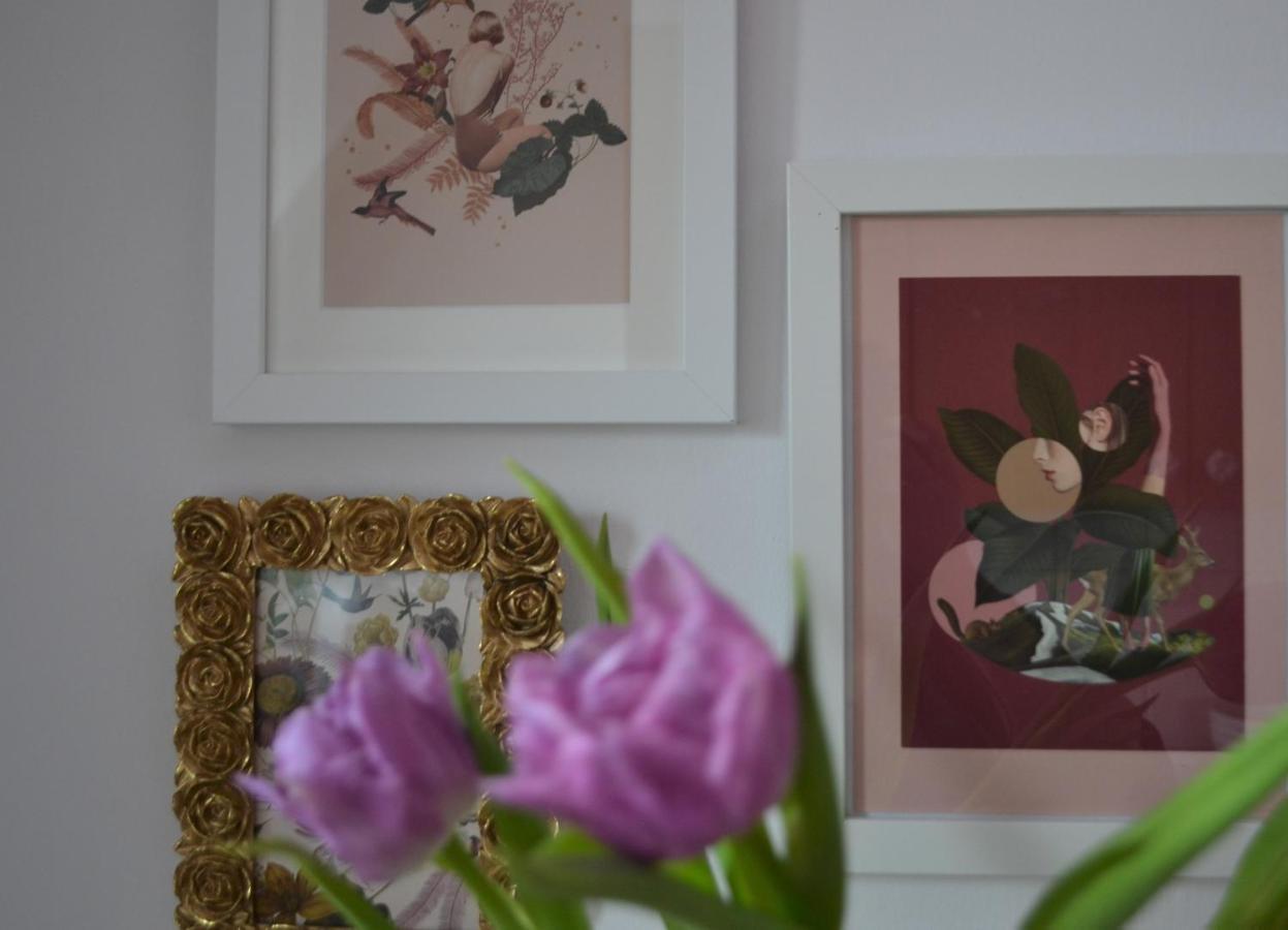 Apartmán Atmosfera Krakov Exteriér fotografie